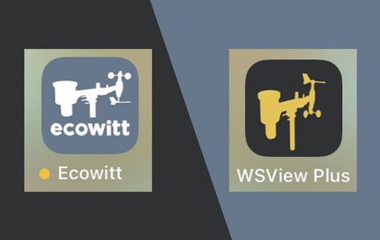 Ecowitt VS ws view plus