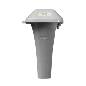 WN36 Pool Thermometer