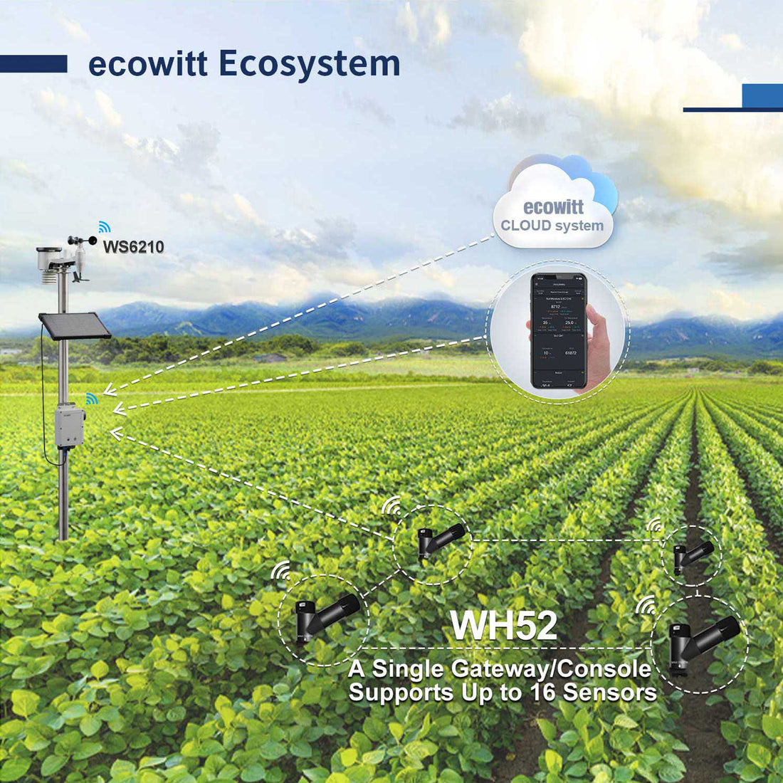 WH52 Soil Moisture/Temperature/EC Sensor, Wireless 3-in-1 Soil Sensor