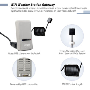 Ecowitt GW1204物联网Wi-Fi网关，带WN31温度和湿度传感器 