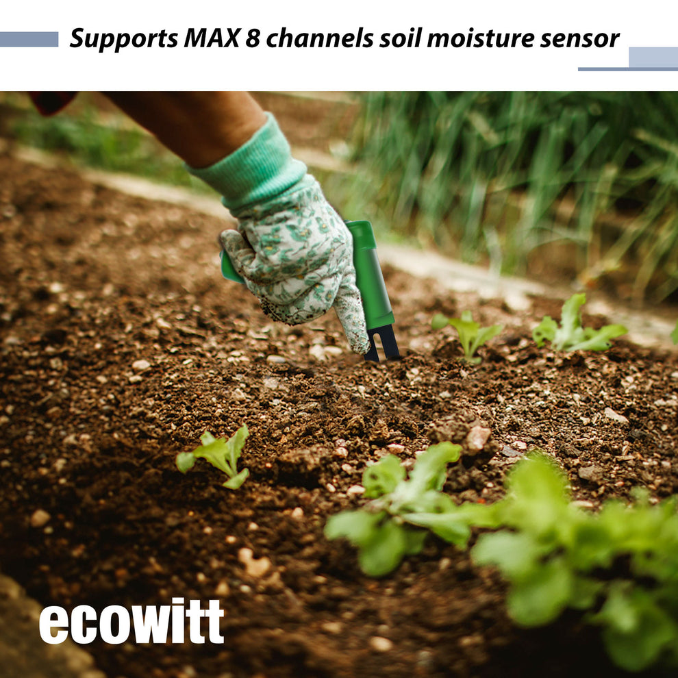 WH51 Wireless Soil Moisture Meter – Soil Moisture Sensor for Irrigatio