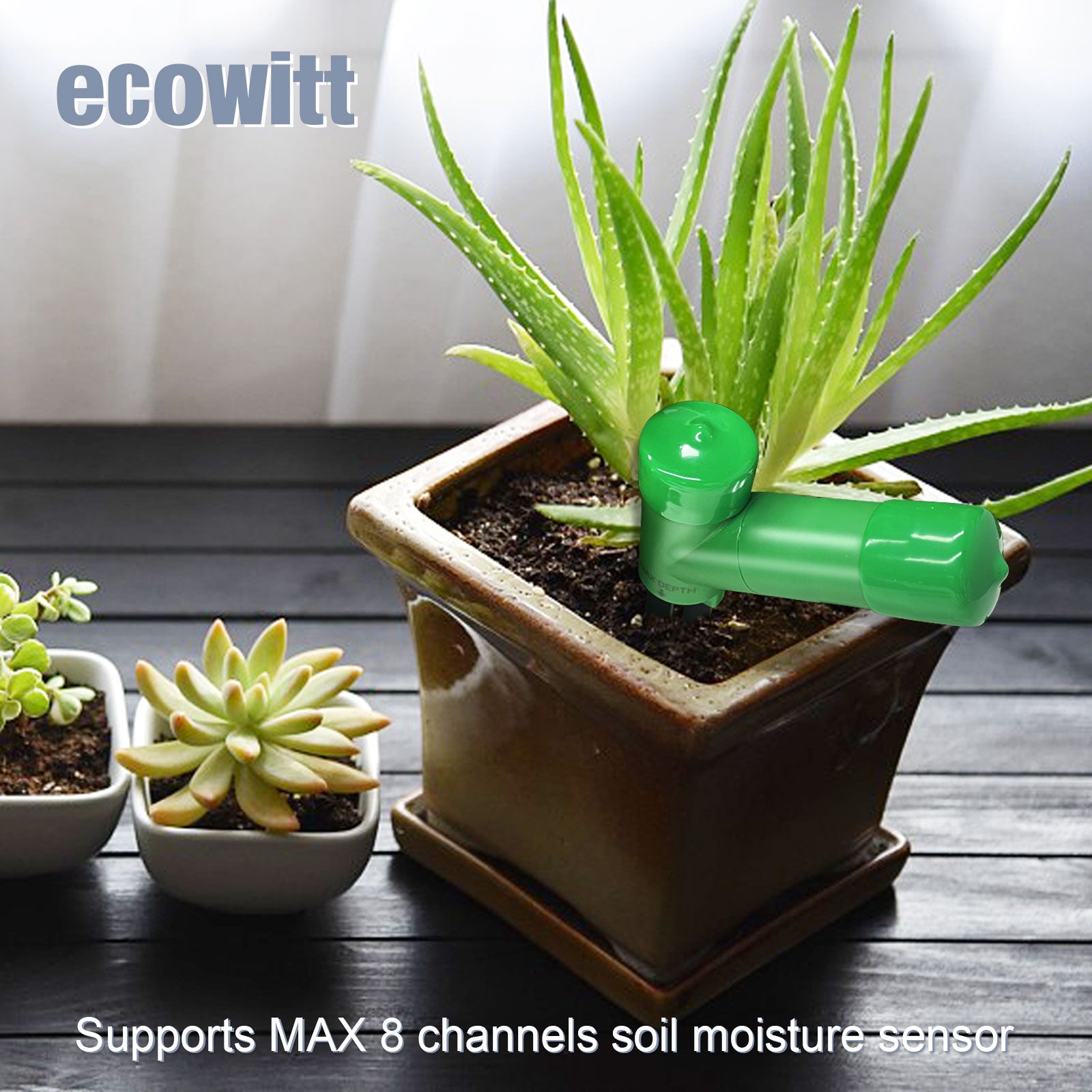 Ecowitt Moisture Sensor