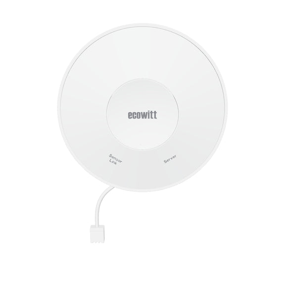 ecowitt WittBoy new 7in1 weather station Ecowitt